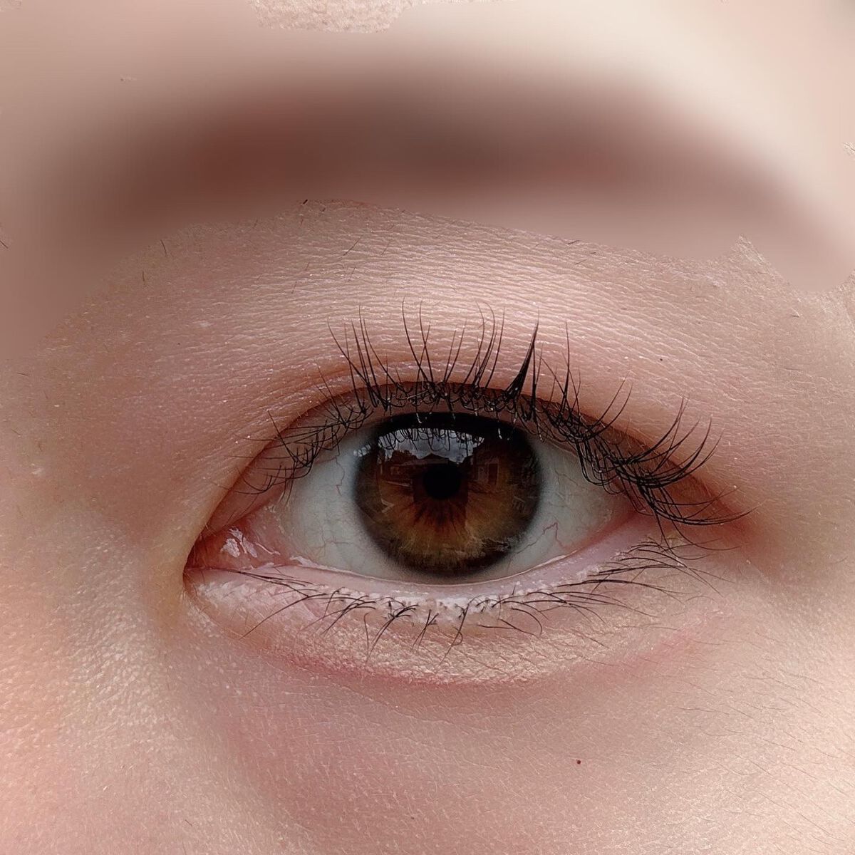 シャドウパレット/dasique/アイシャドウパレットを使ったクチコミ(4枚目)