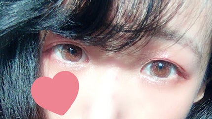 VNTUS 1day/VNTUS/ワンデー(1DAY)カラコンを使ったクチコミ(3枚目)