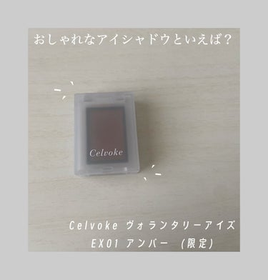 セルヴォーク ヴォランタリー アイズ/Celvoke/シングルアイシャドウを使ったクチコミ（1枚目）