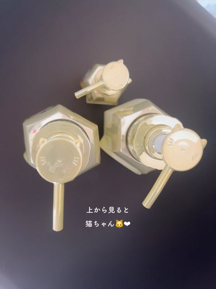 アンドハニー ピクシー モイストシルキー シャンプー1.0/ヘアトリートメント2.0/&honey/市販シャンプーを使ったクチコミ(5枚目)