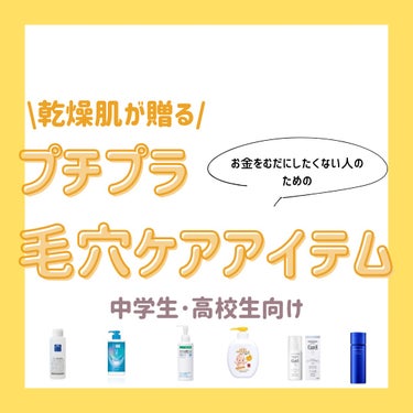 白潤薬用美白化粧水 170ml（ボトル）/肌ラボ/化粧水を使ったクチコミ（1枚目）