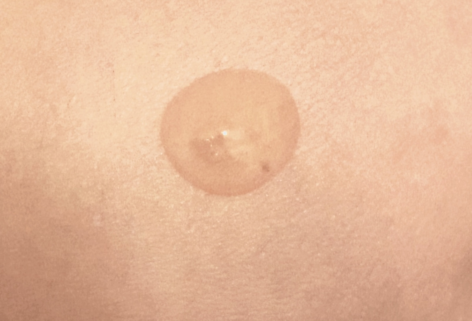 OG Hydrating Serum R+（OGハイドレーティングセラムRプラス）/PLUEST/美容液を使ったクチコミ（2枚目）