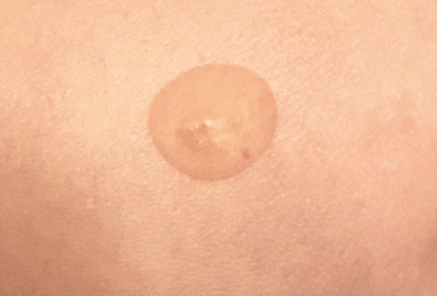 OG Hydrating Serum R+(OGハイドレーティングセラムRプラス)/PLUEST/美容液を使ったクチコミ(2枚目)