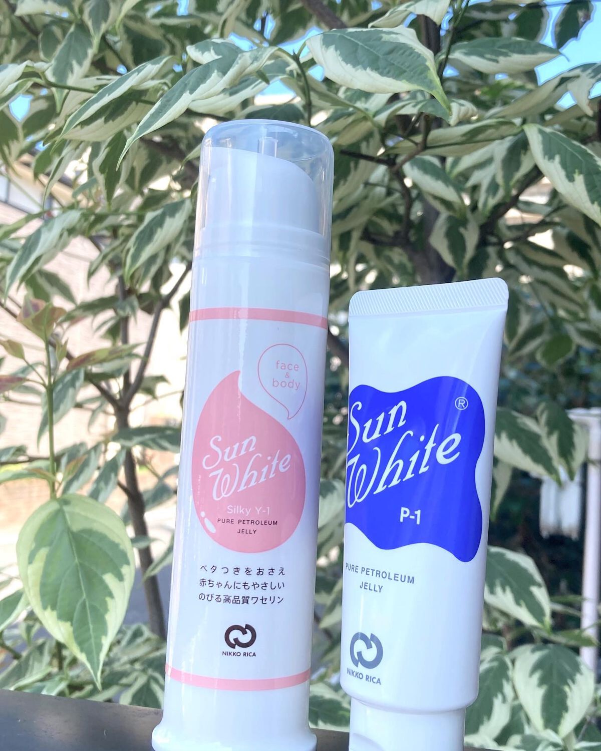 サンホワイトP-1/サンホワイト/ボディクリームを使ったクチコミ(1枚目)