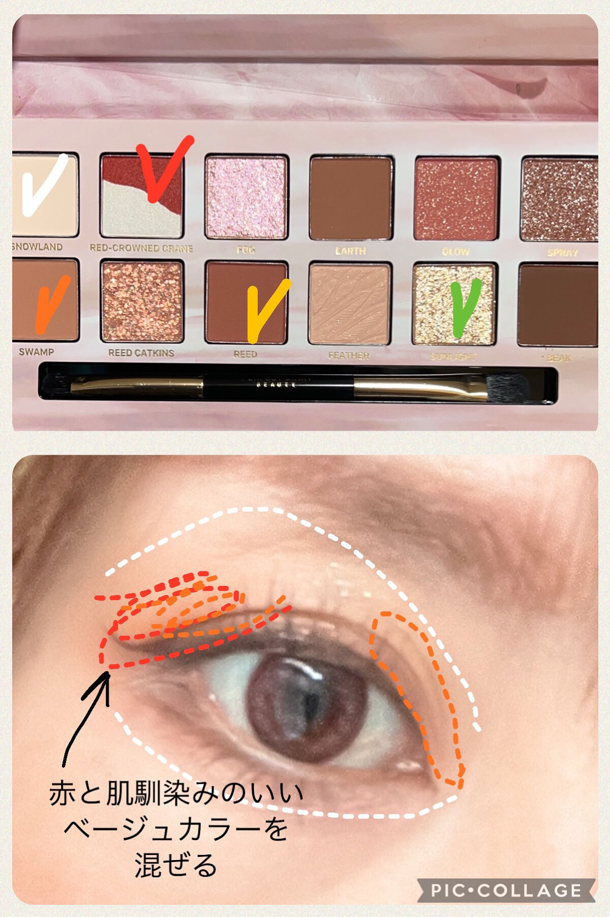 エクスプローラ12色 動物アイシャドウパレット｜PERFECT DIARYの使い方