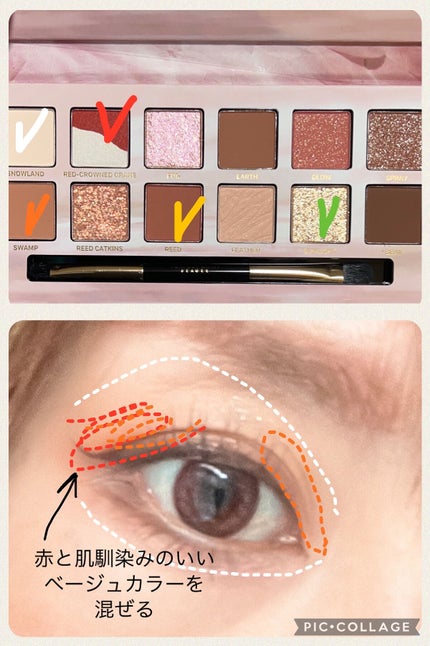 エクスプローラ12色 動物アイシャドウパレット/PERFECT DIARY/アイシャドウパレットを使ったクチコミ(4枚目)