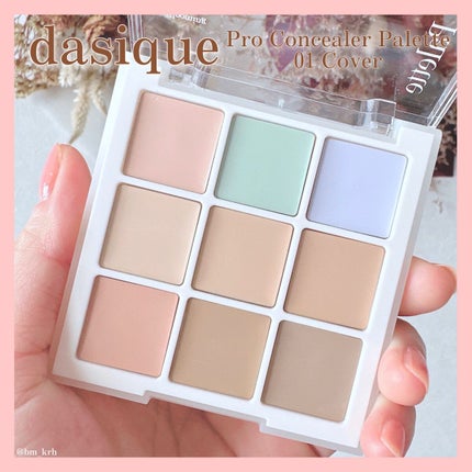 プロコンシーラーパレット/dasique/パレットコンシーラーを使ったクチコミ(2枚目)