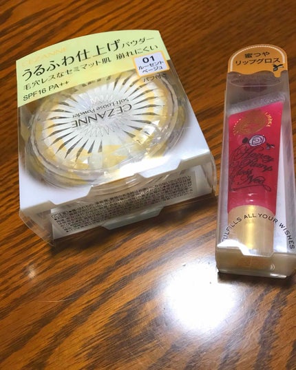 ハニーポンプグロス NEO/MAJOLICA MAJORCA/リップグロスを使ったクチコミ(1枚目)