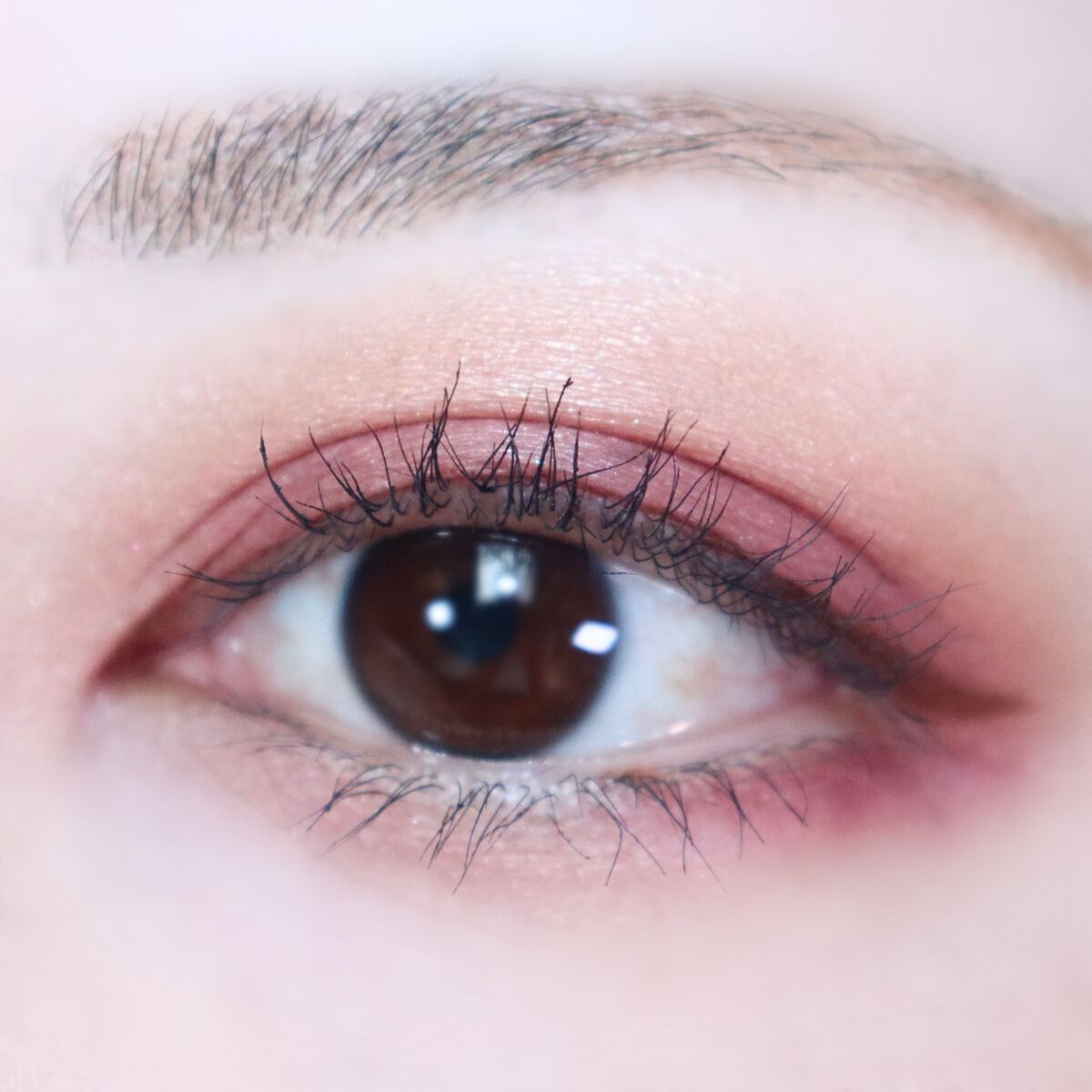 レ キャトル オンブル/CHANEL/アイシャドウパレットを使ったクチコミ(4枚目)