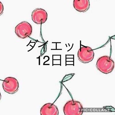 ダイエット12日目

50.5kg
23.1%
※何も着てない状態です

〜メモ〜

規則正しい生活をしなきゃ！

深夜にテレビ見ちゃうんだよねー

早寝早起きと夜ごはんを減らすのを目標に

減るもんも