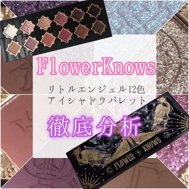 リトルエンジェル12色アイシャドウパレット ダークエンジェル/FlowerKnows/アイシャドウパレットを使ったクチコミ（1枚目）