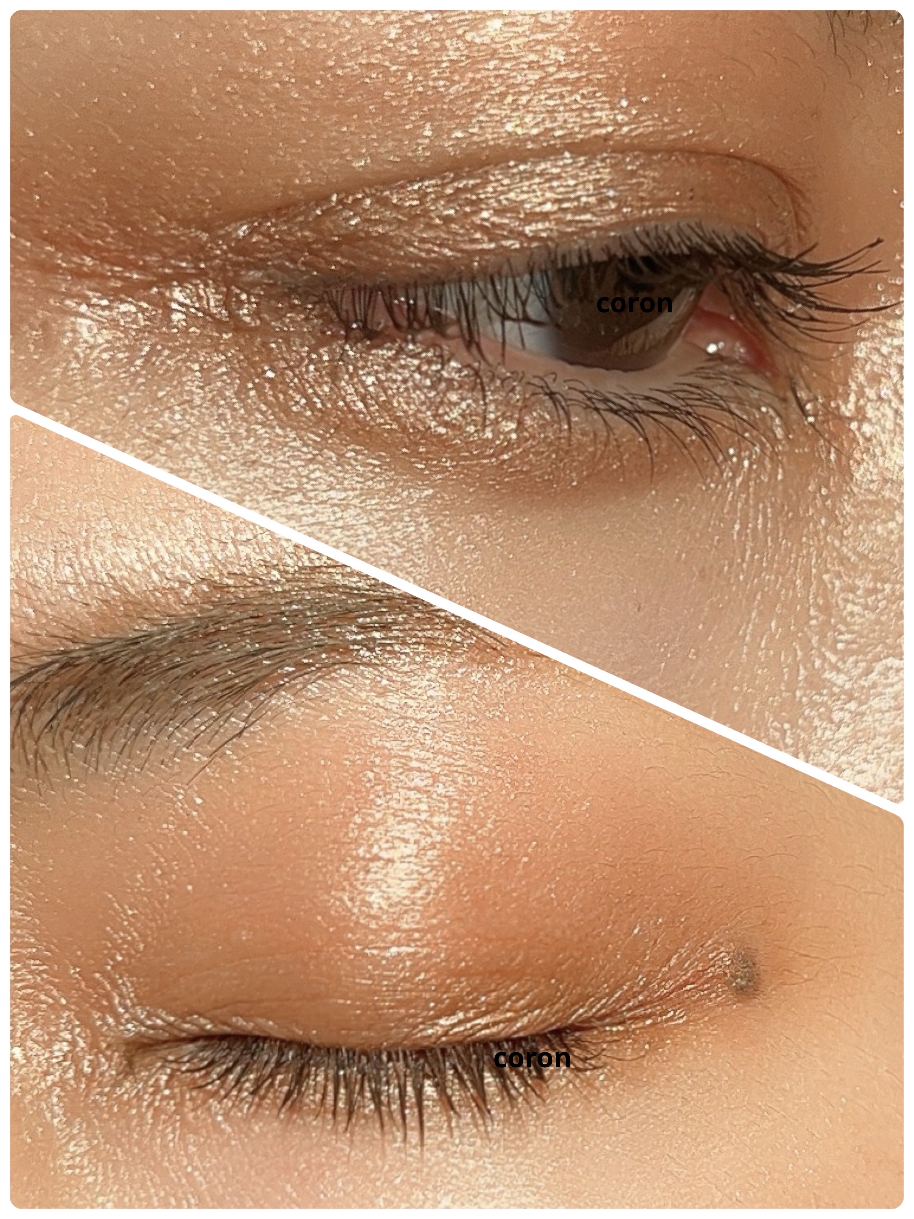 パーフェクトエクステンション マスカラ/D-UP/マスカラを使ったクチコミ（2枚目）