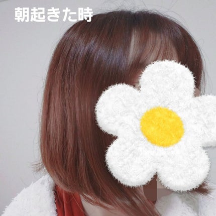 髪のキメ美容プレミアムヘアオイル/エッセンシャル/ヘアオイルを使ったクチコミ(5枚目)