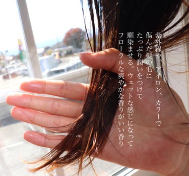 海藻 スムース ヘア ミルク/ラサーナ/ヘアミルクの画像