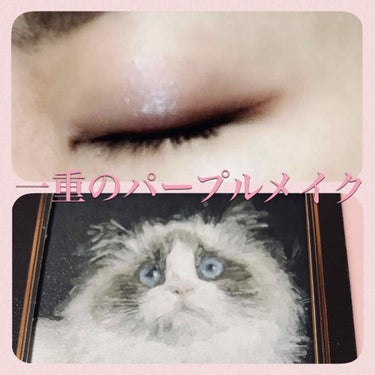 お久しぶりです🐈🐈最近全然投稿してなかった...

かわいいアイシャドウを購入しました👏👏👏
☆エクセル リアルクローズシャドウ
CS10 オーロラプリーツ
☆ヴィーナスマーブル 
ラグドール

この2