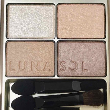 スキンモデリングアイズ/LUNASOL/アイシャドウパレットを使ったクチコミ(2枚目)