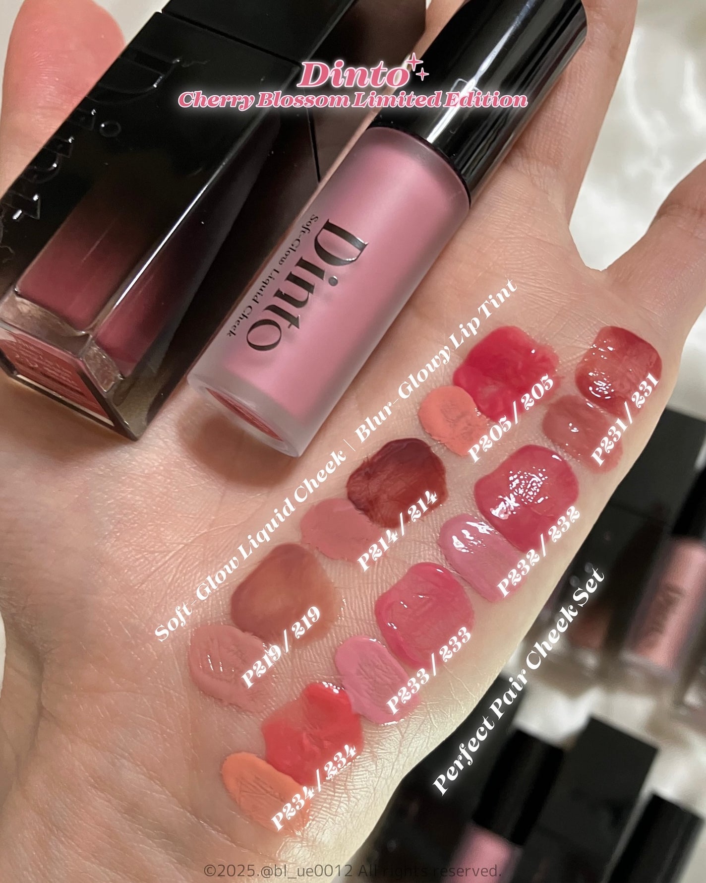 ブラーグロイリップティント/Dinto/リップティントを使ったクチコミ(4枚目)