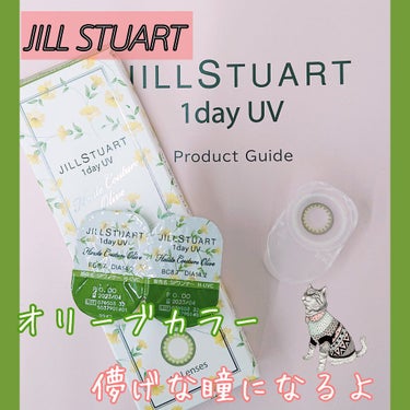 JILL STUART 1day UV/JILL STUART/ワンデー（１DAY）カラコンを使ったクチコミ（1枚目）