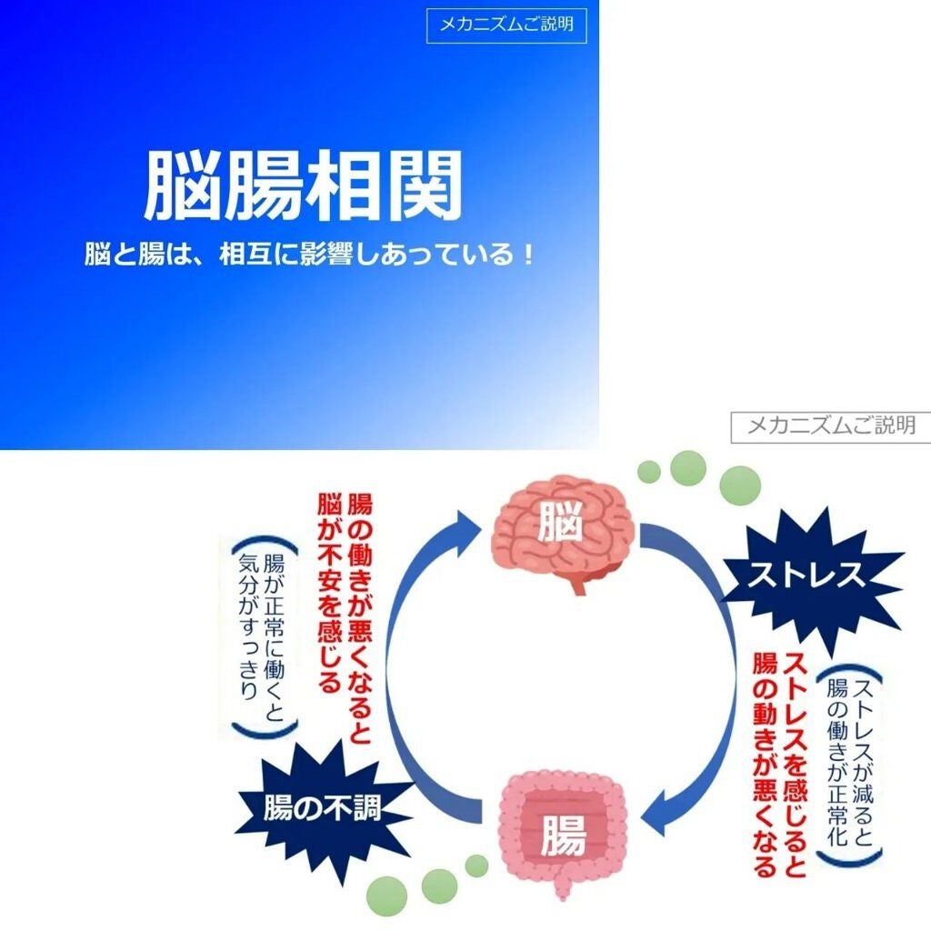 カルピス 睡眠の質 腸内環境/カルピス/乳酸菌飲料を使ったクチコミ(6枚目)