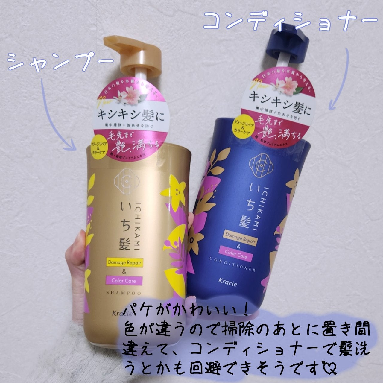 ãã¡ãŒãžãªãã¢ïŒã«ã©ãŒã±ã¢ ã·ã£ã³ããŒ/ã³ã³ãã£ã·ã§ããŒ/ãã¡é«ª/åžè²©ã·ã£ã³ããŒã䜿ã£ãã¯ãã³ãïŒ2æç®ïŒ