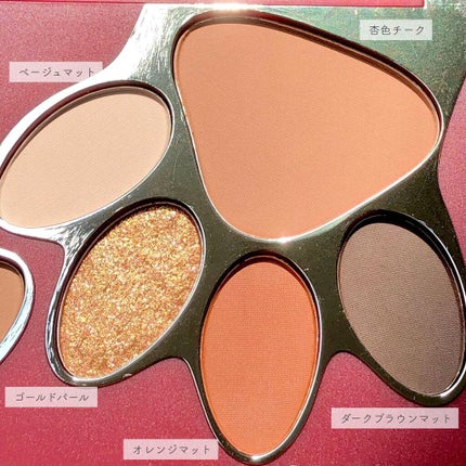 トラ十色アイシャドウパレット/COLORKEY/アイシャドウパレットを使ったクチコミ(5枚目)