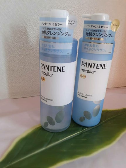 PRO-V ミセラー ピュア&クレンズ ノンシリコンシャンプー/トリートメント/パンテーン/市販シャンプーを使ったクチコミ(1枚目)