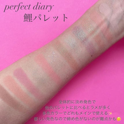 エクスプローラ12色 動物アイシャドウパレット/PERFECT DIARY/アイシャドウパレットを使ったクチコミ(4枚目)