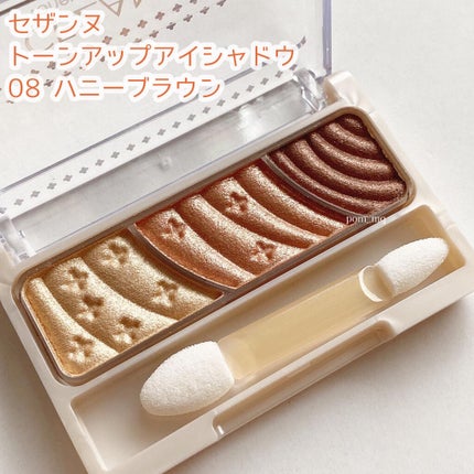 トーンアップアイシャドウ/CEZANNE/アイシャドウパレットを使ったクチコミ(2枚目)