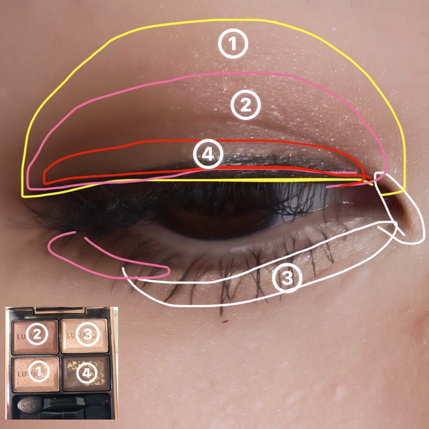 アイブロウ クリエイティブパレット/IPSA/パウダーアイブロウを使ったクチコミ(5枚目)