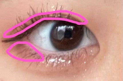 THE アイパレR/b idol/アイシャドウパレットを使ったクチコミ(5枚目)