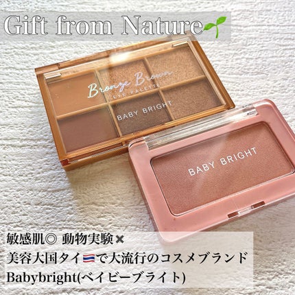 シャインアイシャドウパレット/BabyBright/アイシャドウパレットを使ったクチコミ(1枚目)