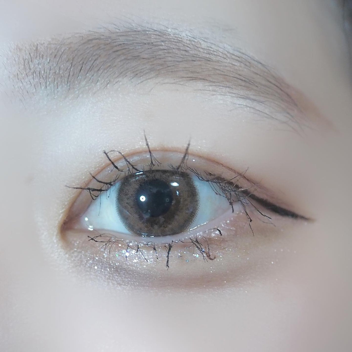 VNTUS 1day/VNTUS/ワンデー(1DAY)カラコンを使ったクチコミ(5枚目)