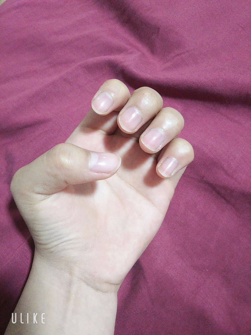 割って使える爪みがき/ネイリスト/ネイル用品を使ったクチコミ(3枚目)