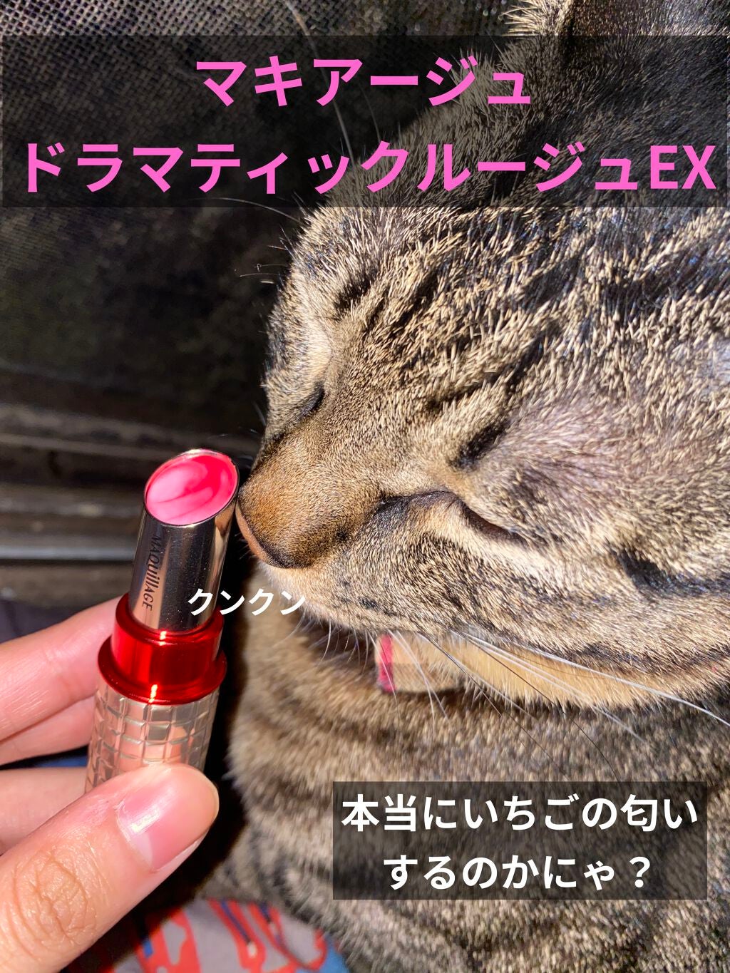ドラマティックルージュEX/マキアージュ/口紅を使ったクチコミ(1枚目)