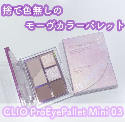 プロ アイパレット ミニ/CLIO/アイシャドウパレットを使ったクチコミ(1枚目)