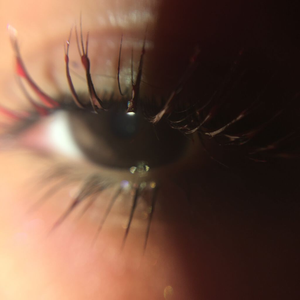 キャンディラップリッチカラー/キャンメイク/リップグロスを使ったクチコミ（1枚目）