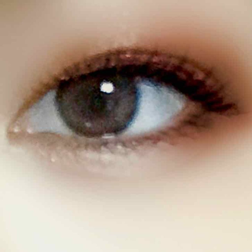 「塗るつけまつげ」ボリュームタイプ/デジャヴュ/マスカラを使ったクチコミ（1枚目）