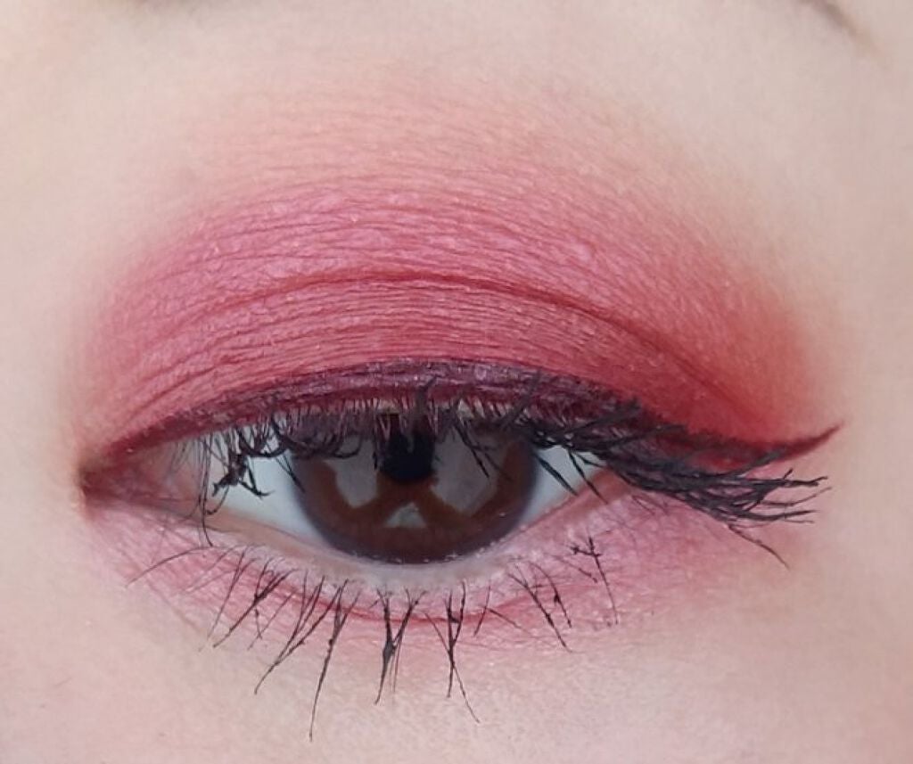 スイ ブラック アイカラー/ANNA SUI/アイシャドウパレットを使ったクチコミ(5枚目)