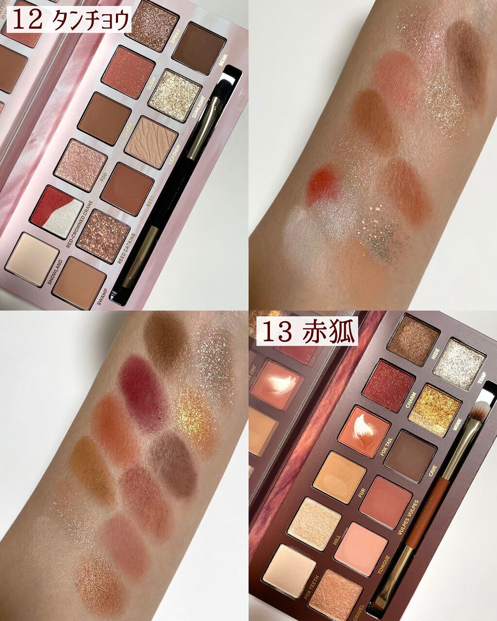 エクスプローラ12色 動物アイシャドウパレット/PERFECT DIARY/アイシャドウパレットを使ったクチコミ(8枚目)