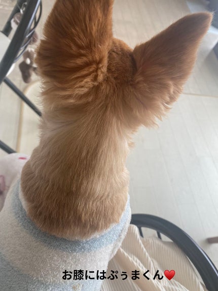 マスク フィット レッド クッション/TIRTIR(ティルティル)/クッションファンデーションを使ったクチコミ(2枚目)