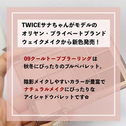 ソフトブラーリングアイパレット/wakemake/アイシャドウパレットを使ったクチコミ(2枚目)