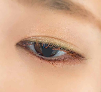 リッドフラッシュ/CHICCA/アイシャドウパレットを使ったクチコミ(2枚目)