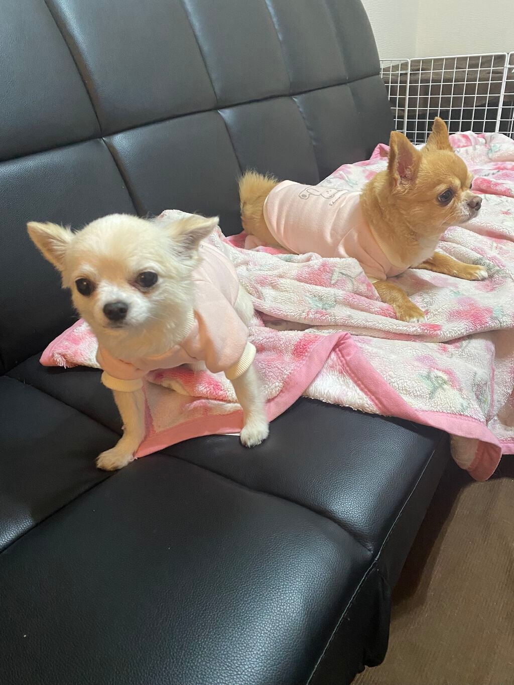 薬用足指さらさらクリーム/デオナチュレ/デオドラント・制汗剤を使ったクチコミ(9枚目)