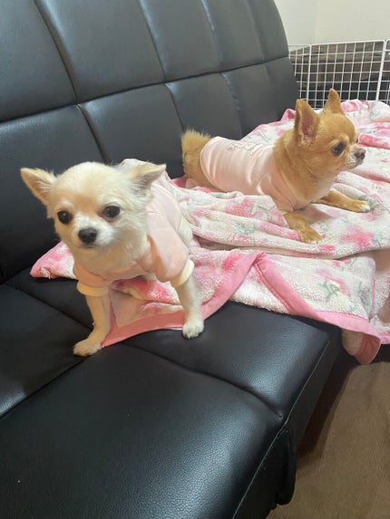 薬用足指さらさらクリーム/デオナチュレ/デオドラント・制汗剤を使ったクチコミ(9枚目)