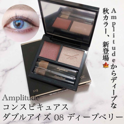 コンスピキュアス ダブルアイズ/Amplitude/アイシャドウパレットを使ったクチコミ(1枚目)