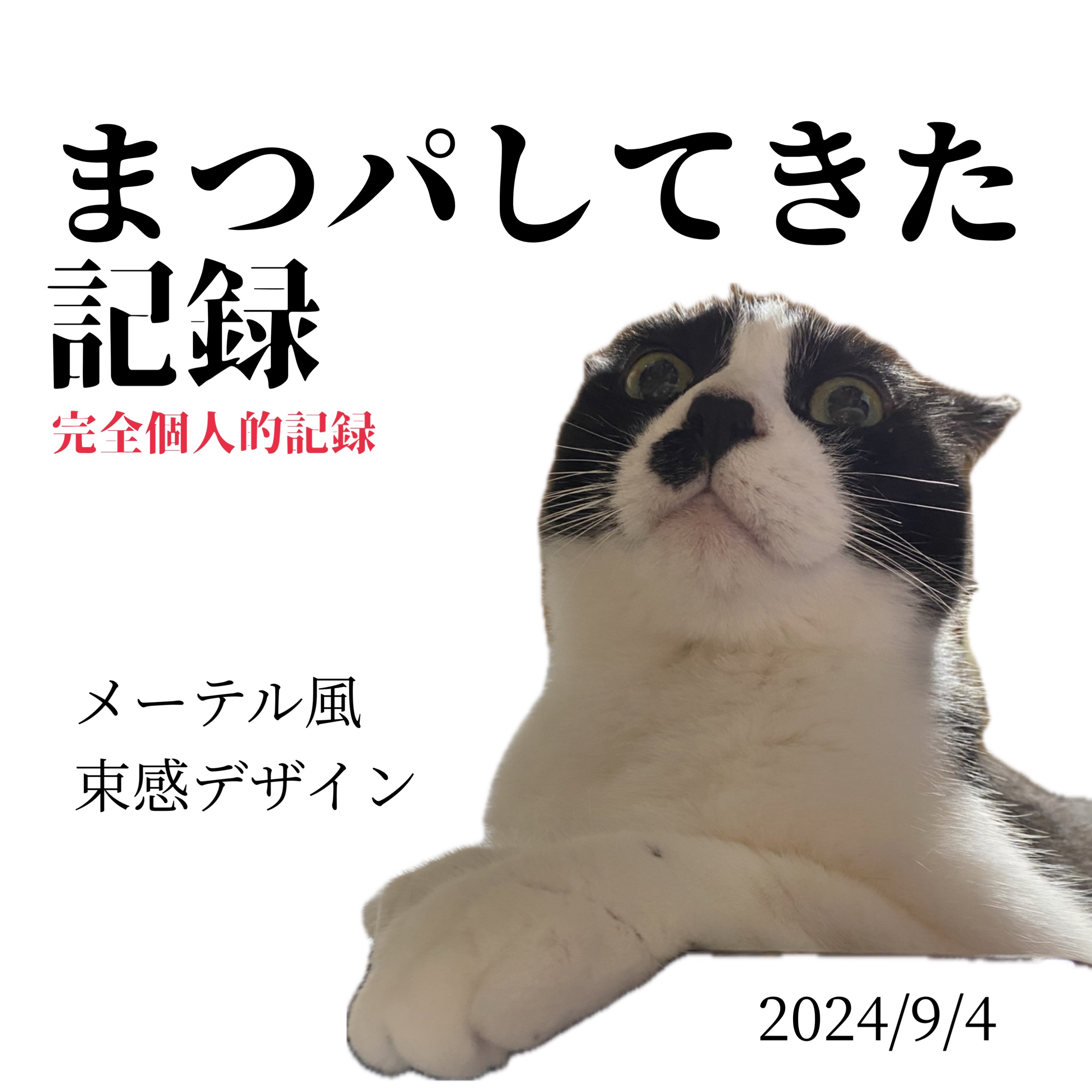 まつげパーマした記録


いつ何やったかすぐ忘れるから
完全に個人的なただの記録



2024/09/04
メーテル風束感デザインやってきた
上下で1時間くらい

メーテル風って
風ってなんだよ
メーテルじゃないんか？って話だけども


