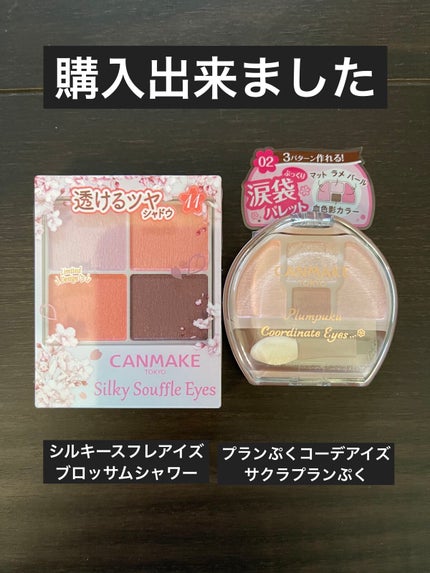 プランぷくコーデアイズ/キャンメイク/パウダーアイシャドウを使ったクチコミ(1枚目)