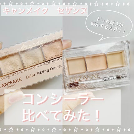 カラーミキシングコンシーラー/キャンメイク/パレットコンシーラーを使ったクチコミ(1枚目)