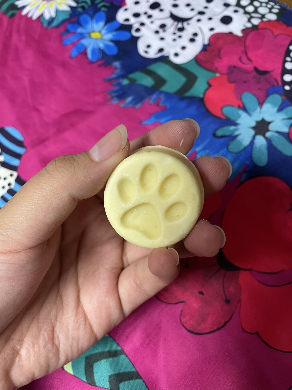 チャリティポット コイン 動物の権利/ラッシュ/ボディローションを使ったクチコミ（2枚目）