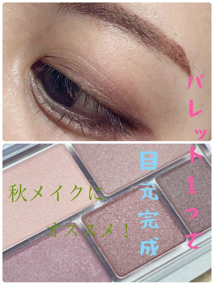 パーフェクトマルチアイズ/キャンメイク/アイシャドウパレットを使ったクチコミ(1枚目)